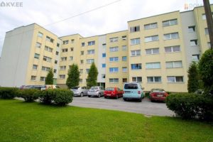 Domus maja